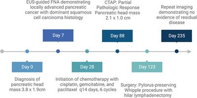 Frontiers Case Report A Complete Pathologic Response In Pancreatic